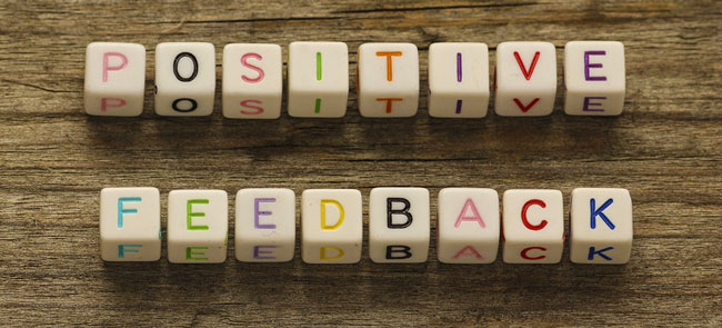 Positive Feedback from CJ’s Holiday Homes