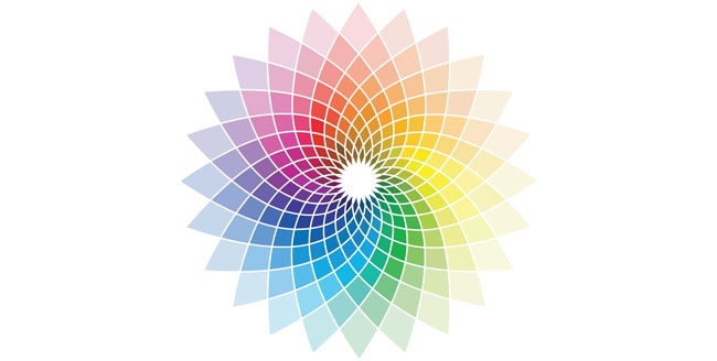 Colour theory strengthens your brand